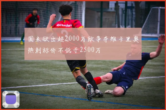 国米欲出超2000万欧争夺维卡里奥热刺标价不低于2500万