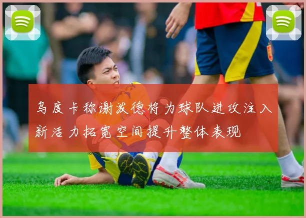 乌度卡称谢泼德将为球队进攻注入新活力拓宽空间提升整体表现