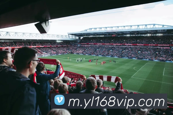 澳门永利平台生态图